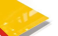 dorset flag HD Metal print