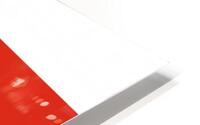 podlaskie flag HD Metal print