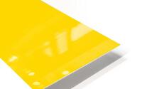 Garifuna flag HD Metal print