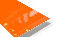 niger HD Metal print