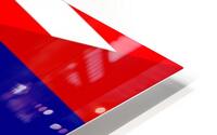 usa mauritius HD Metal print