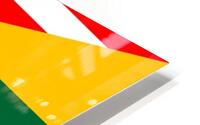 usa lithuania HD Metal print