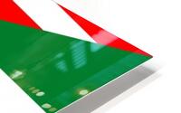 usa uae HD Metal print