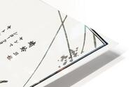 Dragonflies HD Metal print