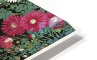 Chrysanthemums HD Metal print