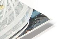 Carp 2 HD Metal print