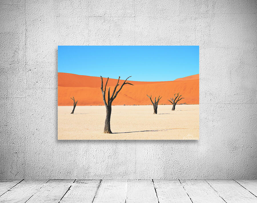 Dead tree on desert  Wall Preview