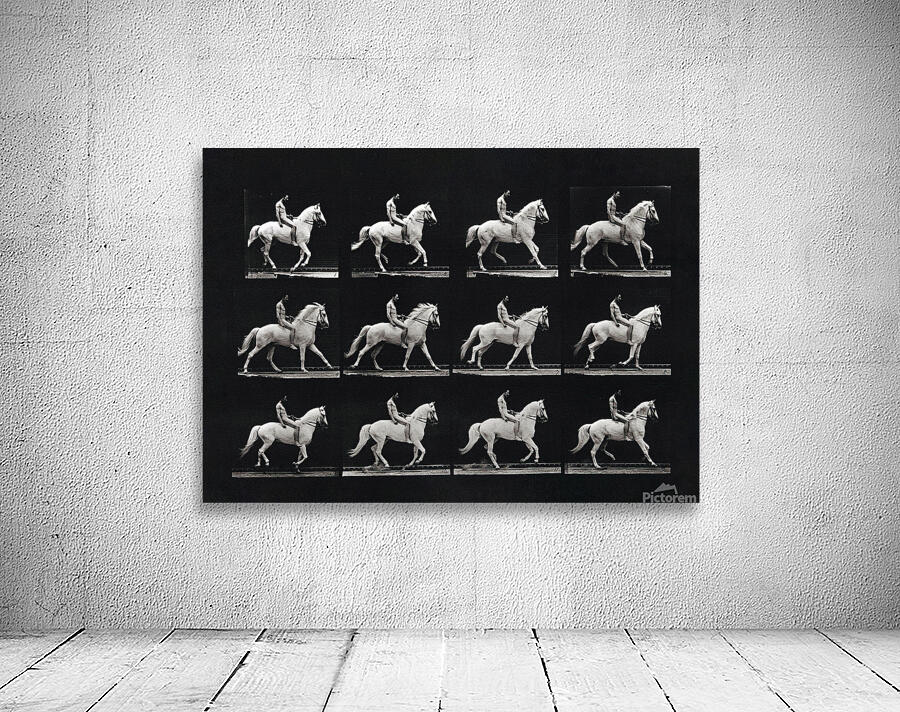 A naked man riding a horse bareback by Tony Tudor Wall Art