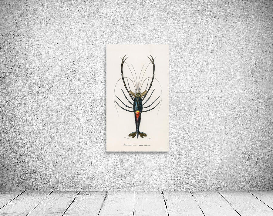 Crimson Crawfish Wall Preview