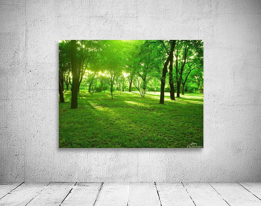green forest Wall Preview