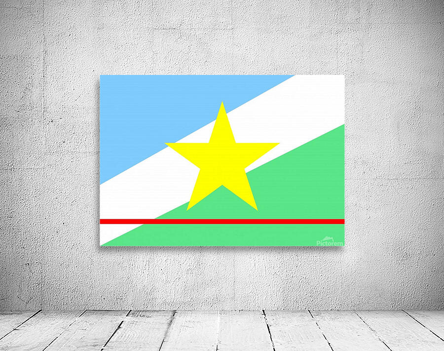 Roraima flag Brazil Wall Preview
