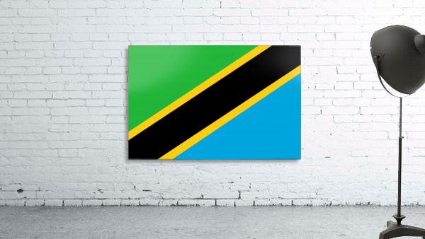 Tanzania Wall Preview
