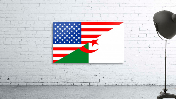 usa algeria Wall Preview