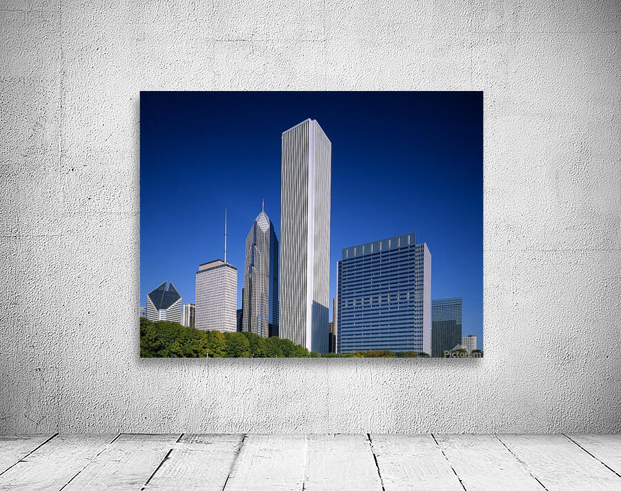 Downtown Chicago Wall Preview
