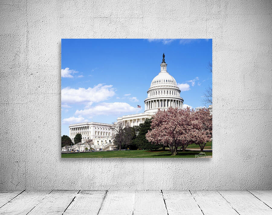 U.S. Capitol Building  Washington D.C Wall Preview