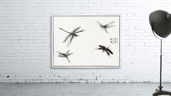 Dragonflies illustration Wall Preview