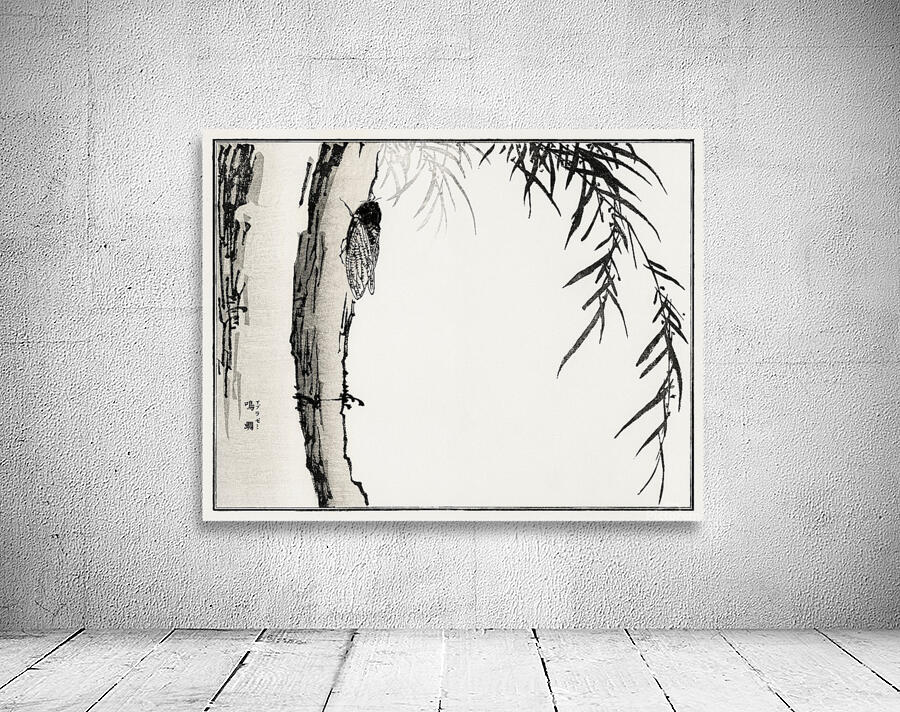 Cicada illustration Wall Preview