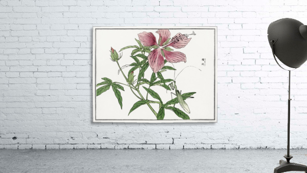 Flower illustration Wall Preview