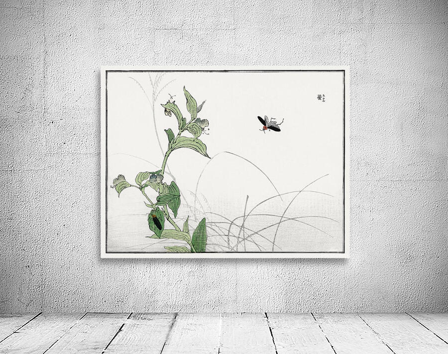 Fireflies illustration Wall Preview