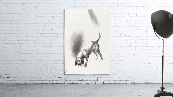 The Dog Wall Preview