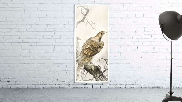 Eagle on tree branch Wall Preview