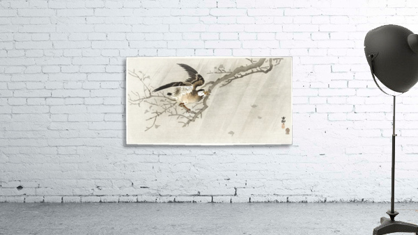 Gray starling in storm Wall Preview