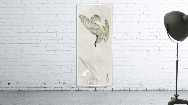 Hawk hunting a hare Wall Preview