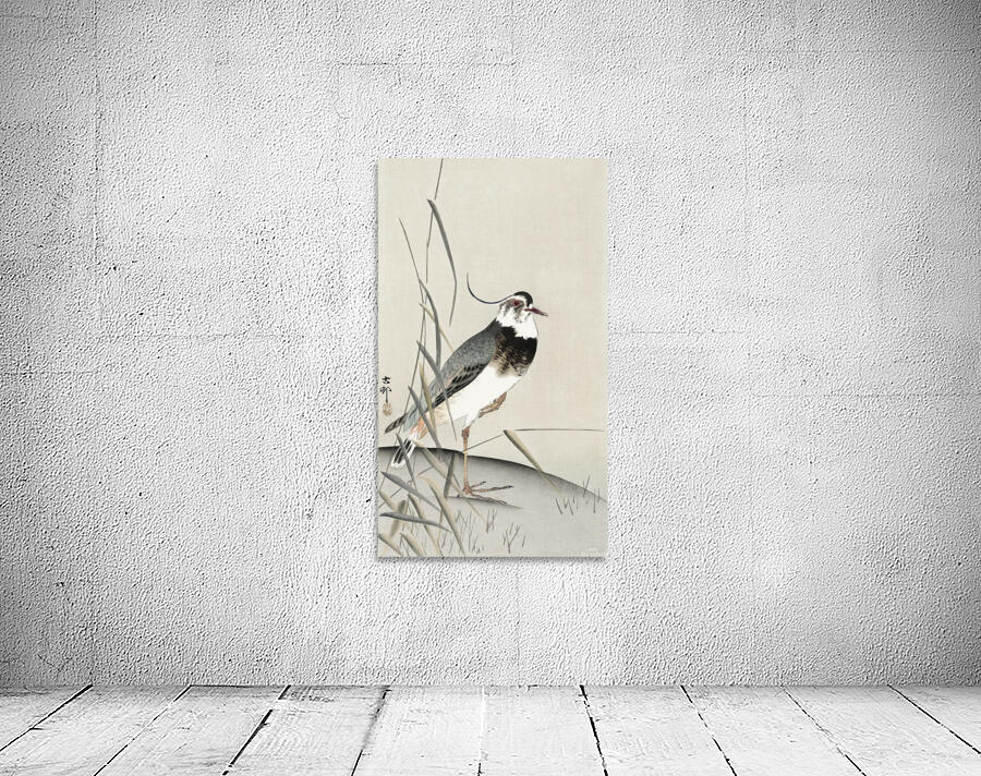 Lapwing and reed Wall Preview