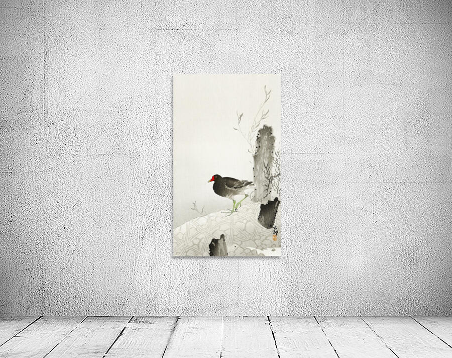 Moorhen2 Wall Preview