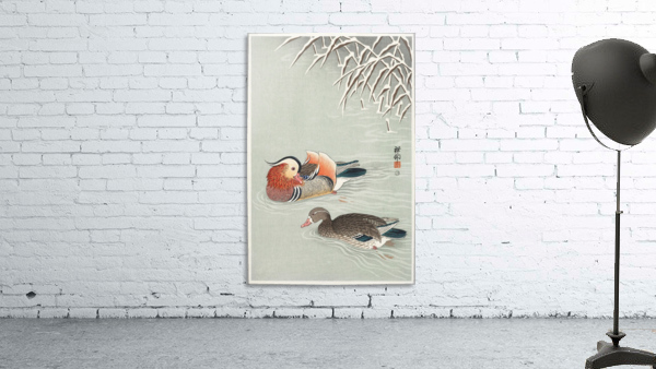 Mandarin ducks Wall Preview