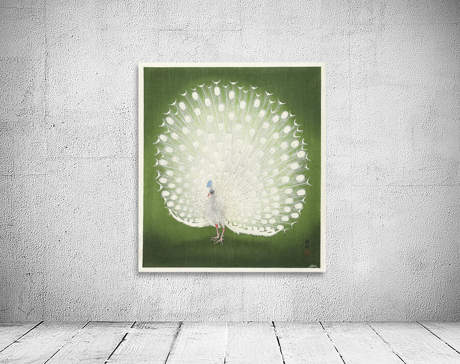Peacock Wall Preview