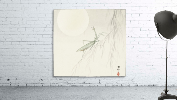Praying mantis Wall Preview