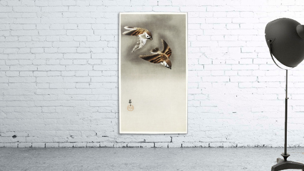 Ring sparrows in snow Wall Preview