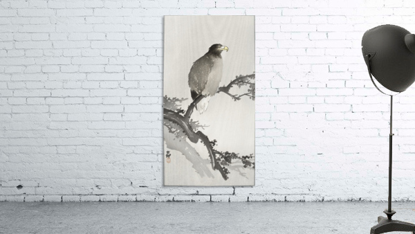White tailed eagle on branch Wall Preview