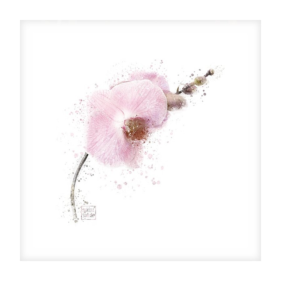Orchid  Picture Frame print