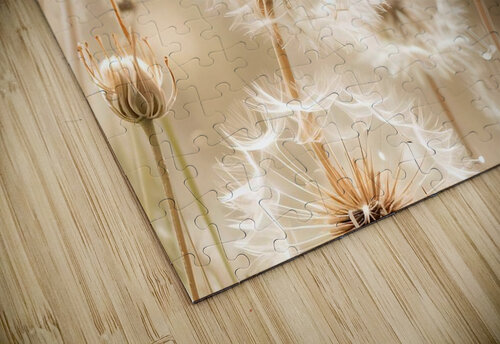 Dandelion Stillness Patricia Sampaio puzzle