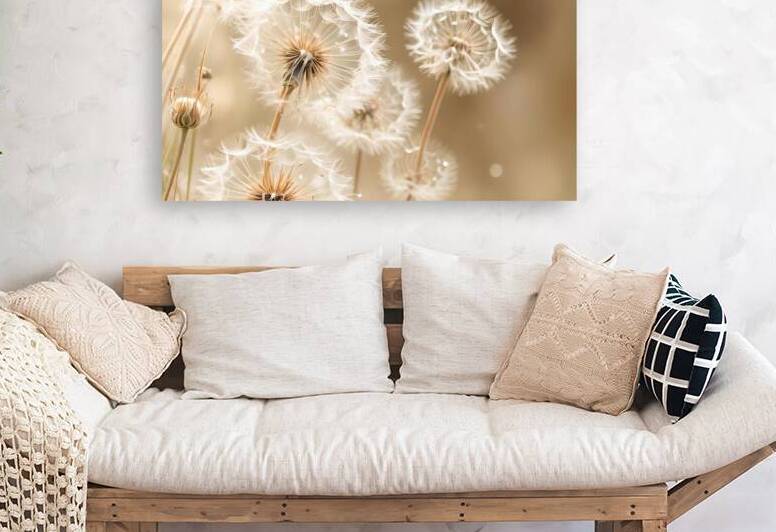 Dandelion Stillness by Patricia Sampaio