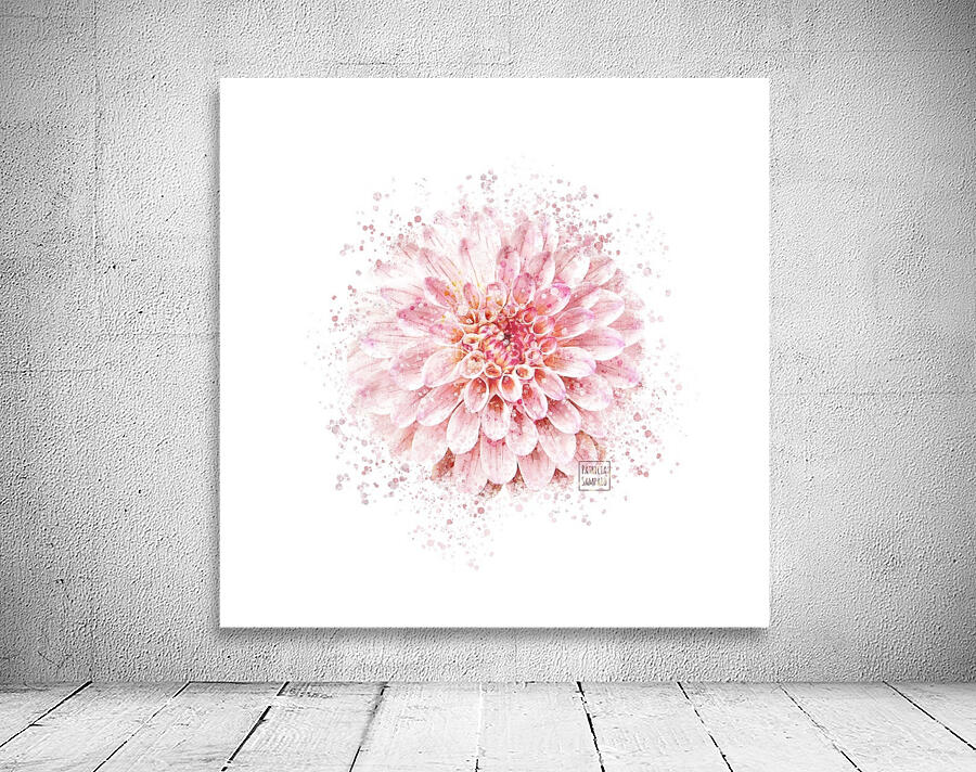 Dahlia  Wall Preview
