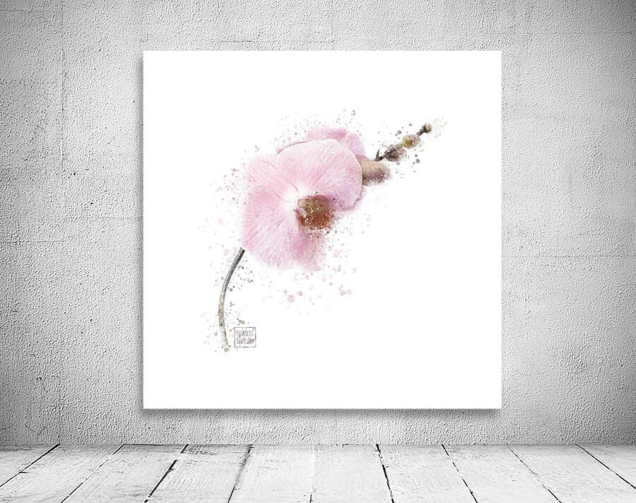 Orchid  Wall Preview