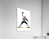 GRONK Acrylic Print
