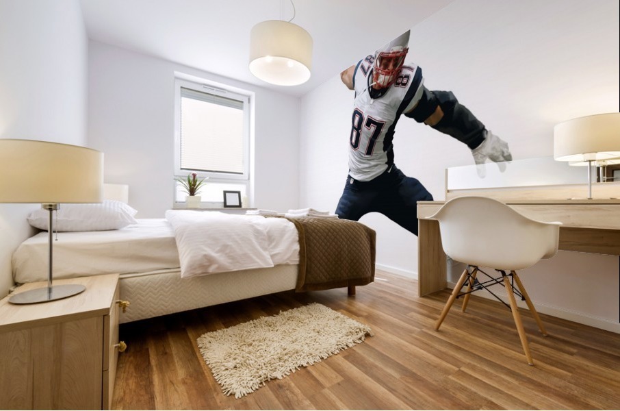 GRONK Mural print