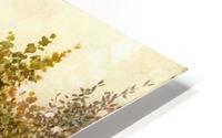 The Well HD Metal print