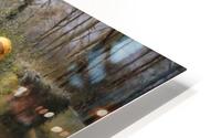 Over the river HD Metal print