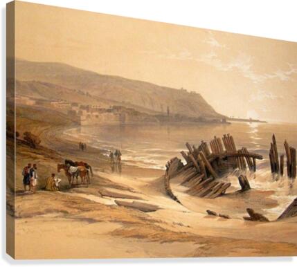 Mount Carmel-Israel Canvas Print