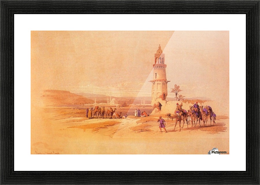 Siout, 1838 Picture Frame print