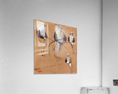 Study with four jockeys Acrylic Print