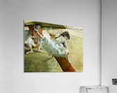 Gallery Player Acrylic Print