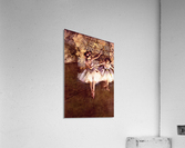 Young Dancers Acrylic Print
