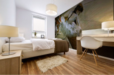 Gallery Player Mural print
