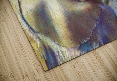 Before the mirror Degas puzzle
